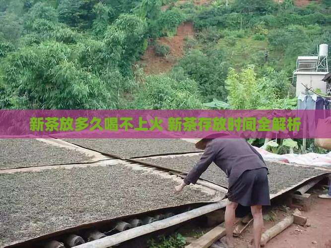 新茶放多久喝不上火