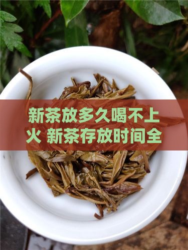 新茶放多久喝不上火