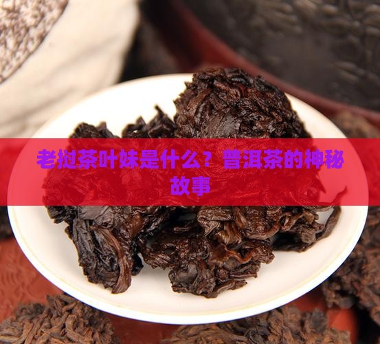 老挝茶叶妹是什么意思