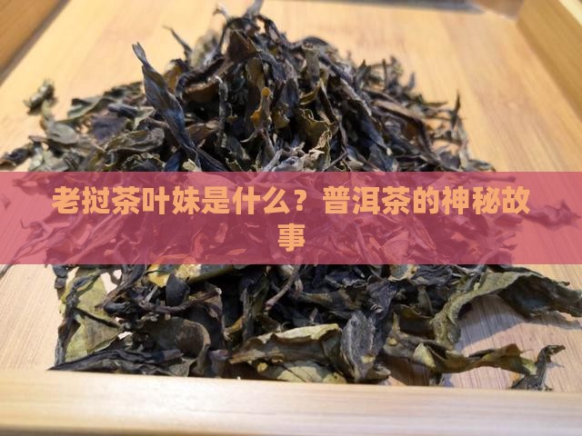 老挝茶叶妹是什么意思