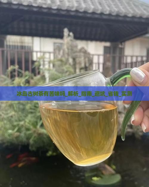 冰岛古树茶有苦味吗