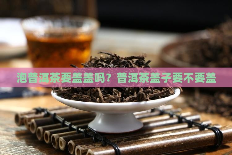 泡普洱茶要不要盖被子