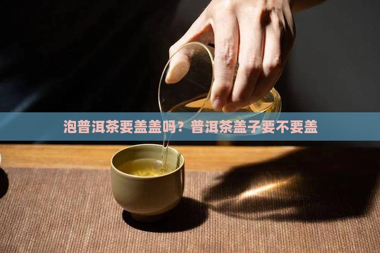 泡普洱茶要不要盖被子