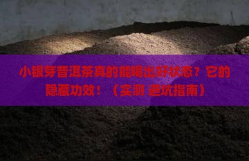 小银芽普洱茶的功效与作用