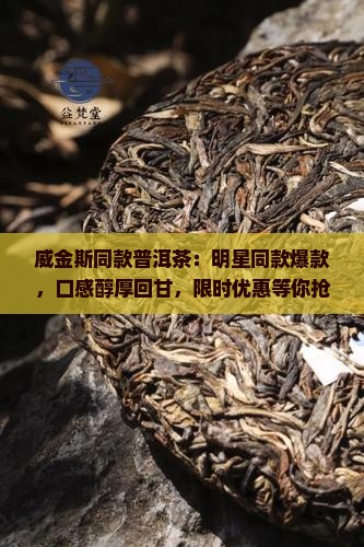 威金斯同款普洱茶