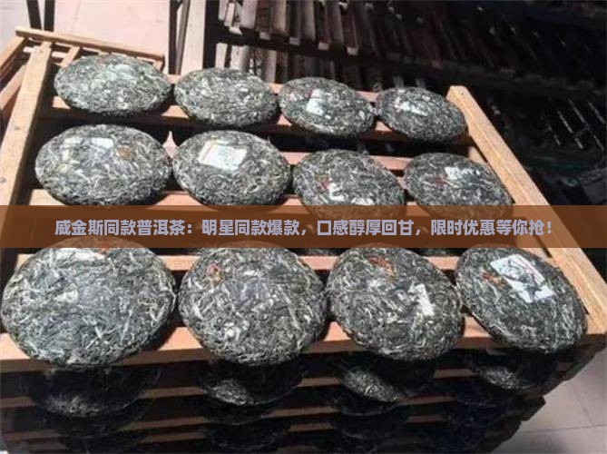 威金斯同款普洱茶