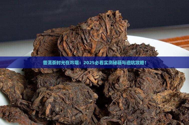 普洱茶时光在吟唱