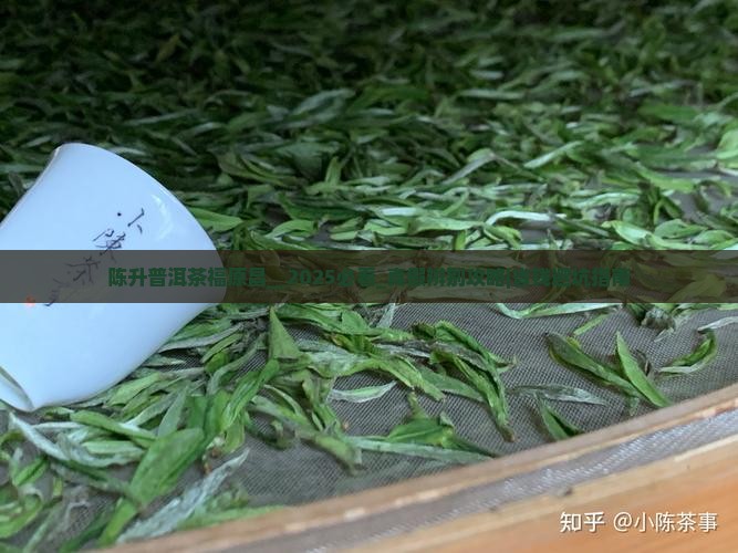 陈升普洱茶福原昌