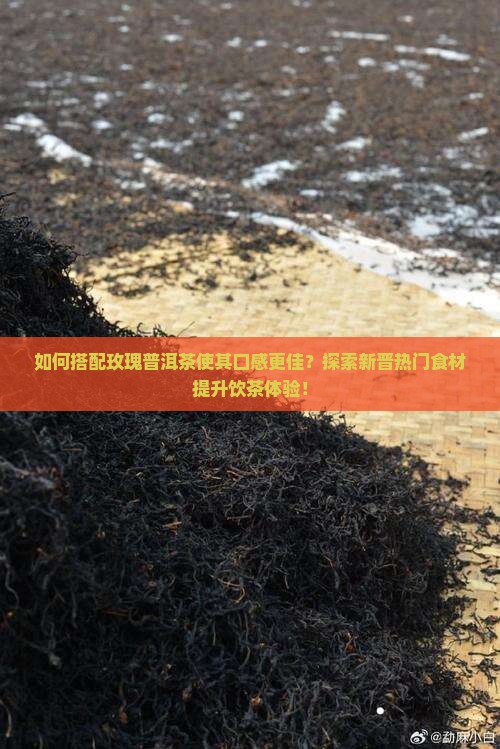 如何搭配玫瑰普洱茶使其口感更佳?探索新晋热门食材提升饮茶体验! 如何搭配玫瑰普洱茶使其口感更佳?探索新晋热门食材提升饮茶体验!