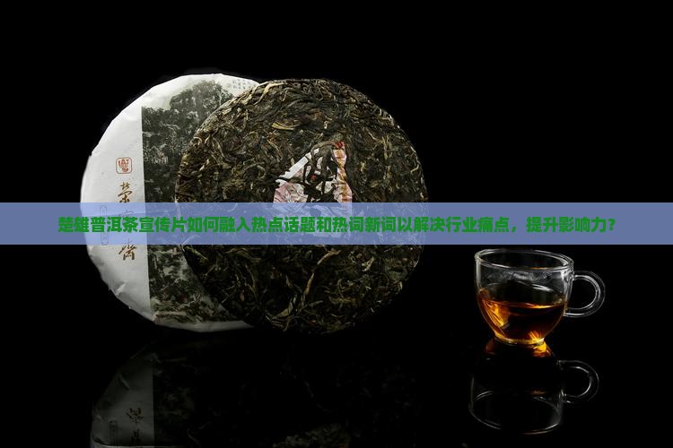 楚雄普洱茶宣传片如何融入热点话题和热词新词以解决行业痛点，提升影响力？