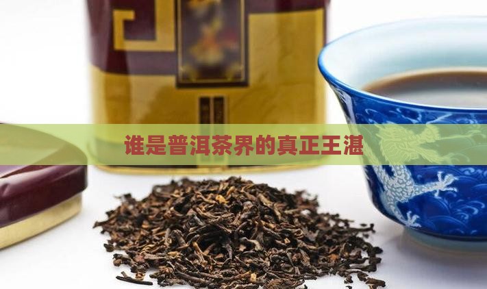 谁是普洱茶界的真正王湛