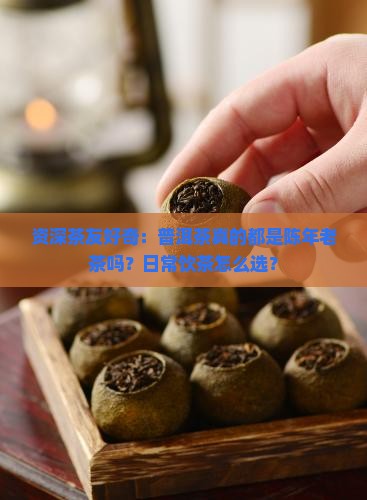 资深茶友好奇：普洱茶真的都是陈年老茶吗？日常饮茶怎么选？