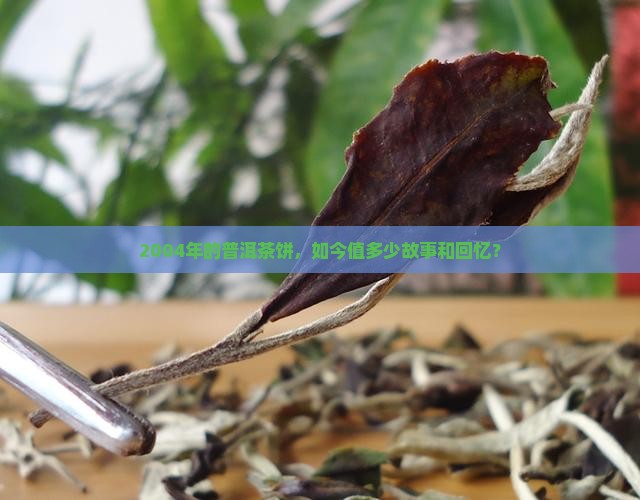 2004年的普洱茶饼，如今值多少故事和回忆？