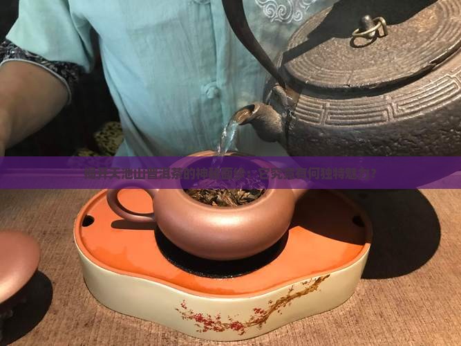 揭开天池山普洱茶的神秘面纱：它究竟有何独特魅力？