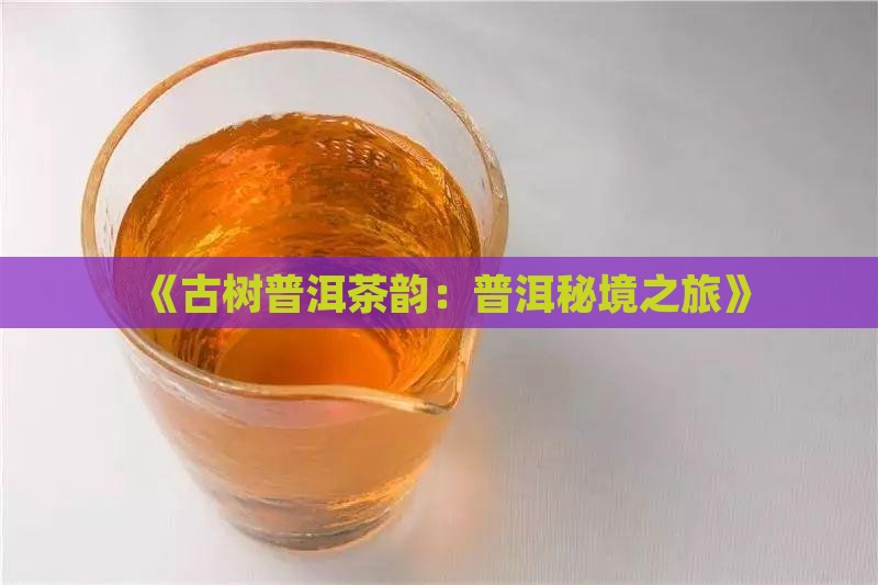 《古树普洱茶韵：普洱秘境之旅》