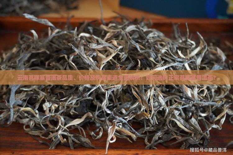 云南茗稼寨普洱茶品质、价格及购买渠道全面解析：如何选购正宗茗稼寨普洱茶？
