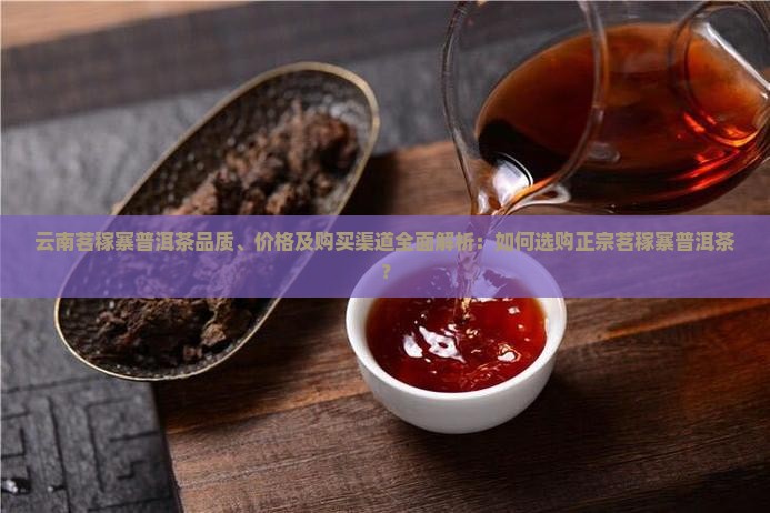 云南茗稼寨普洱茶品质、价格及购买渠道全面解析：如何选购正宗茗稼寨普洱茶？