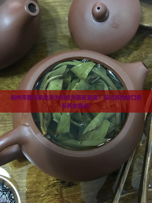 衢州市普洱茶生茶为何成为茶友新宠？探讨其独特口感与养生痛点！