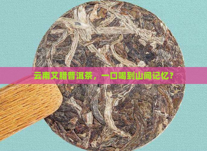 云南艾腊普洱茶，一口喝到山间记忆？