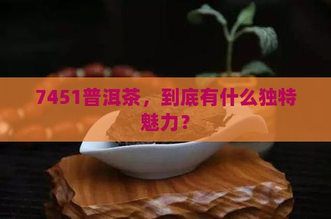 7451普洱茶，到底有什么独特魅力？