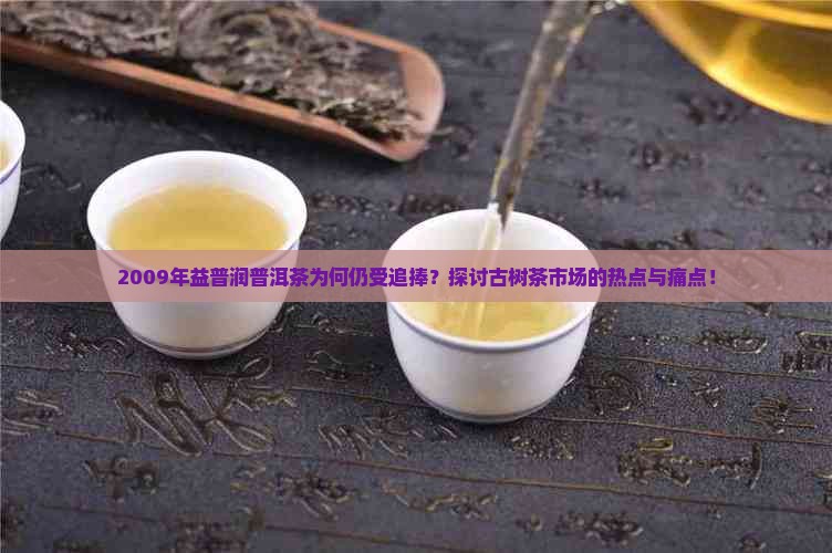 2009年益普润普洱茶为何仍受追捧？探讨古树茶市场的热点与痛点！