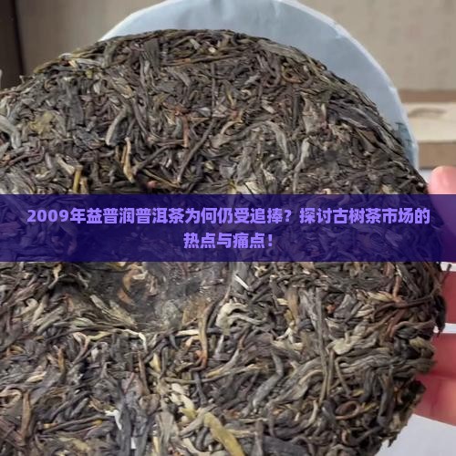 2009年益普润普洱茶为何仍受追捧？探讨古树茶市场的热点与痛点！