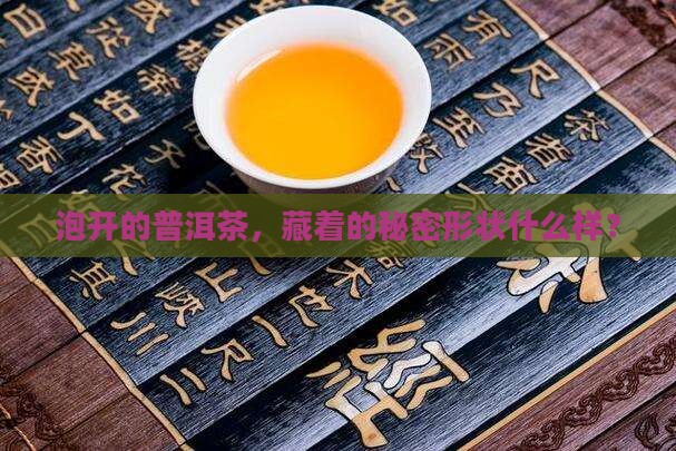 泡开的普洱茶，藏着的秘密形状什么样？