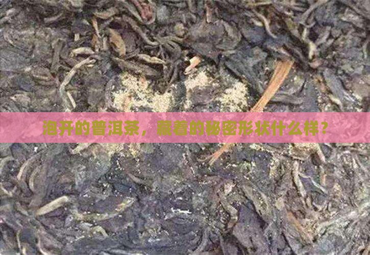 泡开的普洱茶，藏着的秘密形状什么样？