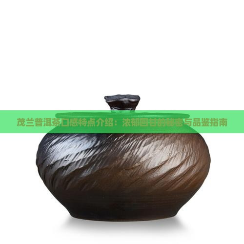 茂兰普洱茶口感特点介绍：浓郁回甘的秘密与品鉴指南