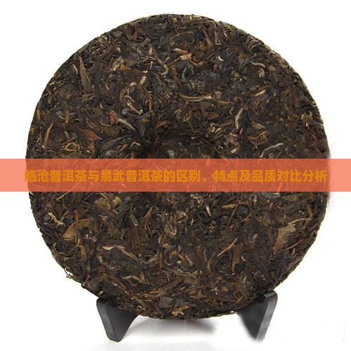 临沧普洱茶与易武普洱茶的区别、特点及品质对比分析