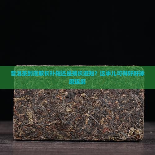 普洱茶到底取长补短还是扬长避短？这事儿可得好好琢磨琢磨