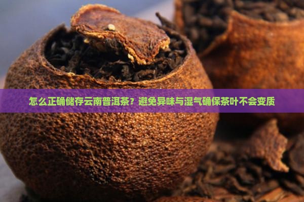 怎么正确储存云南普洱茶？避免异味与湿气确保茶叶不会变质