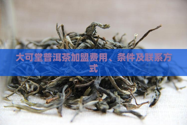 大可堂普洱茶加盟费用、条件及联系方式