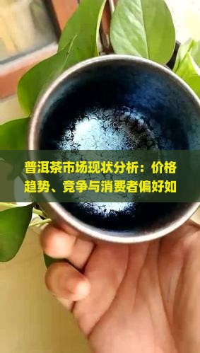 普洱茶市场现状分析：价格趋势、竞争与消费者偏好如何变化？
