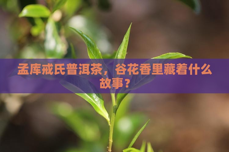 孟库戒氏普洱茶，谷花香里藏着什么故事？