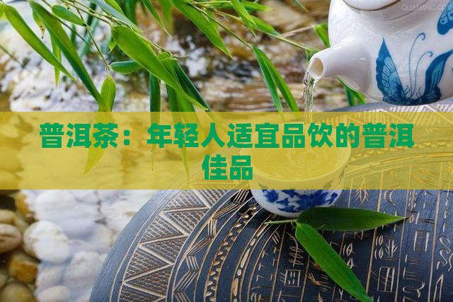 普洱茶：年轻人适宜品饮的普洱佳品