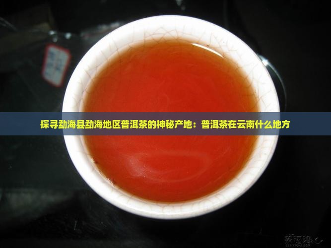 探寻勐海县勐海地区普洱茶的神秘产地：普洱茶在云南什么地方
