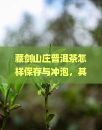 藏剑山庄普洱茶怎样保存与冲泡，其茶品收藏价值与真伪鉴别方法