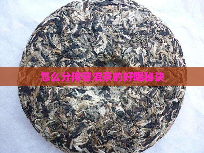怎么分辨普洱茶的好喝秘诀