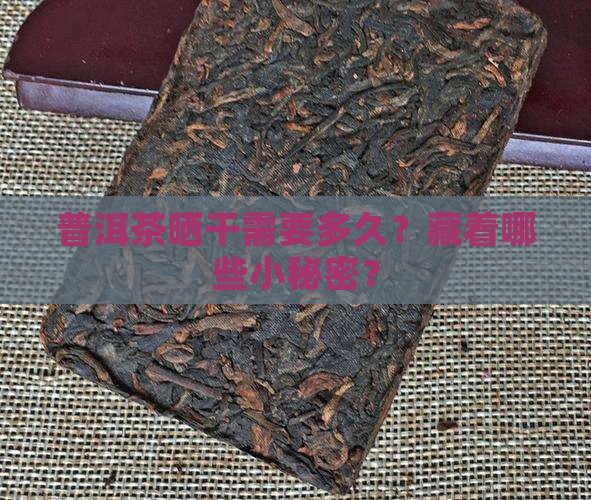普洱茶晒干需要多久？藏着哪些小秘密？