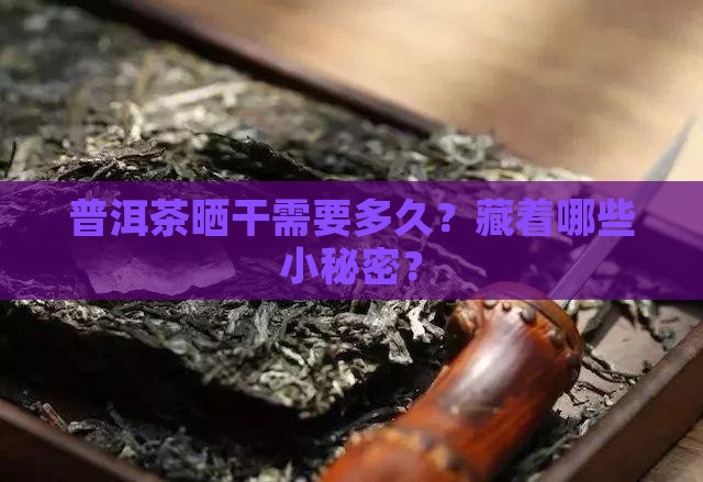 普洱茶晒干需要多久？藏着哪些小秘密？