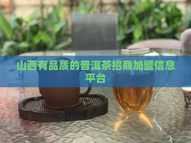 山西有品质的普洱茶招商加盟信息平台