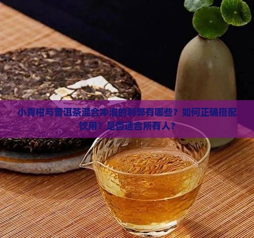 小青柑与普洱茶混合冲泡的利弊有哪些？如何正确搭配饮用？是否适合所有人？