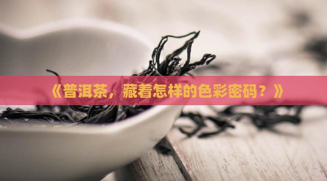 《普洱茶，藏着怎样的色彩密码？》