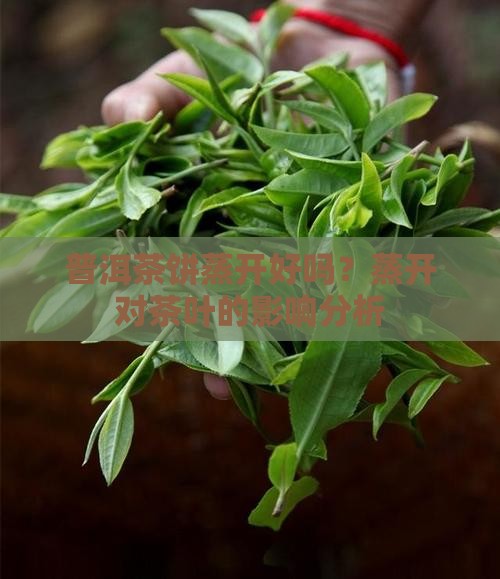 普洱茶饼蒸开好吗？蒸开对茶叶的影响分析