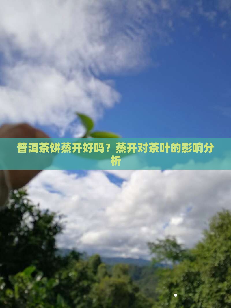普洱茶饼蒸开好吗？蒸开对茶叶的影响分析