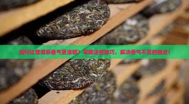 如何让普洱茶香气更浓郁？掌握这些技巧，解决香气不足的痛点！