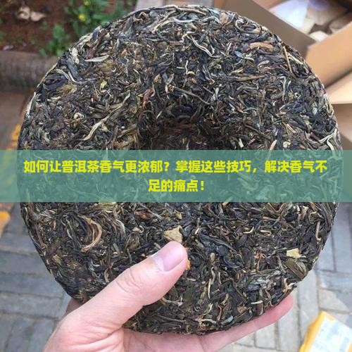 如何让普洱茶香气更浓郁？掌握这些技巧，解决香气不足的痛点！
