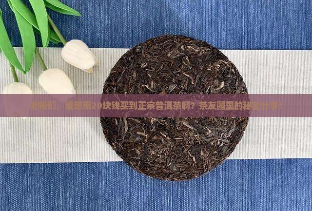 老板们，谁想用20块钱买到正宗普洱茶啊？茶友圈里的秘密分享！