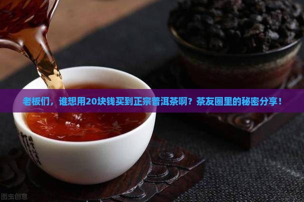 老板们，谁想用20块钱买到正宗普洱茶啊？茶友圈里的秘密分享！